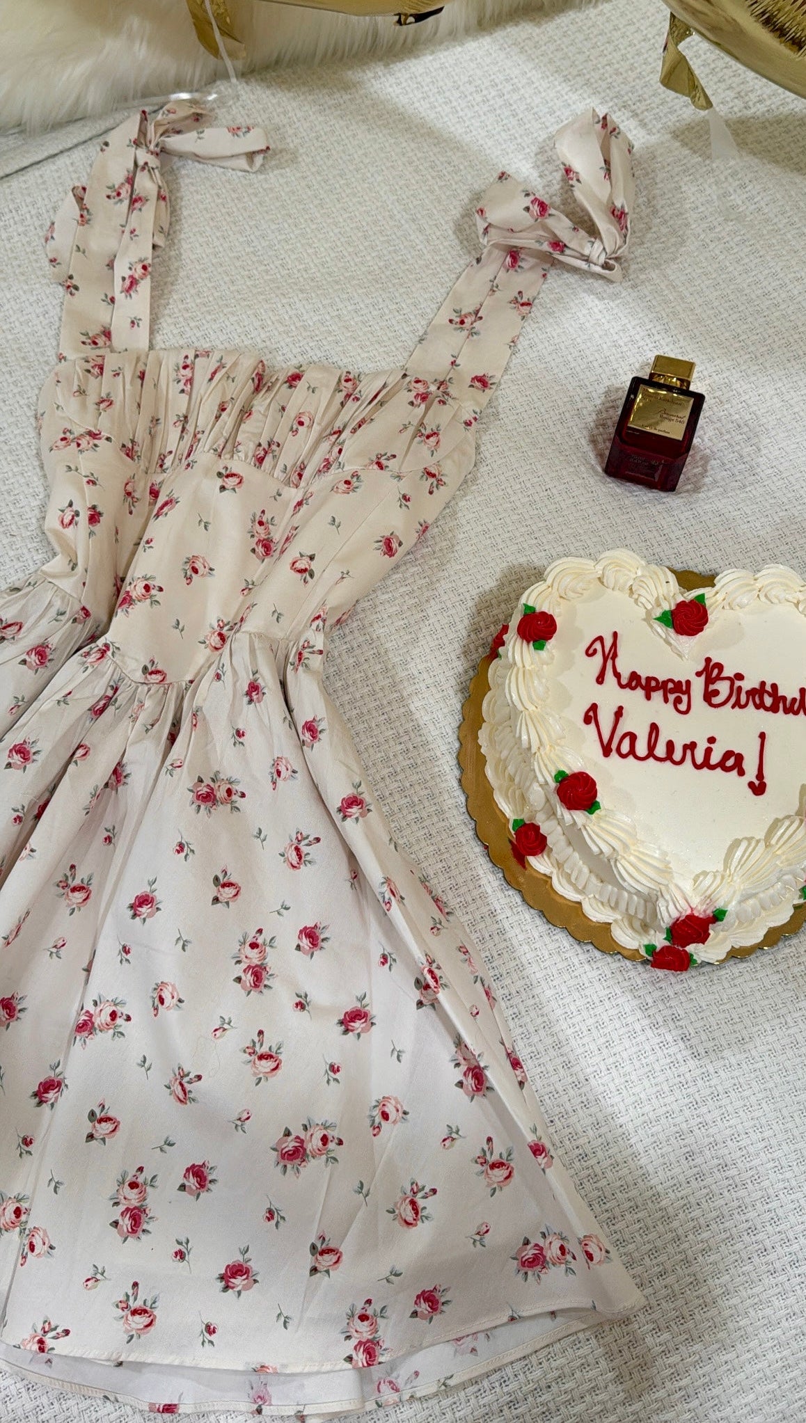Strawberries N Cream Corset Mini Dress