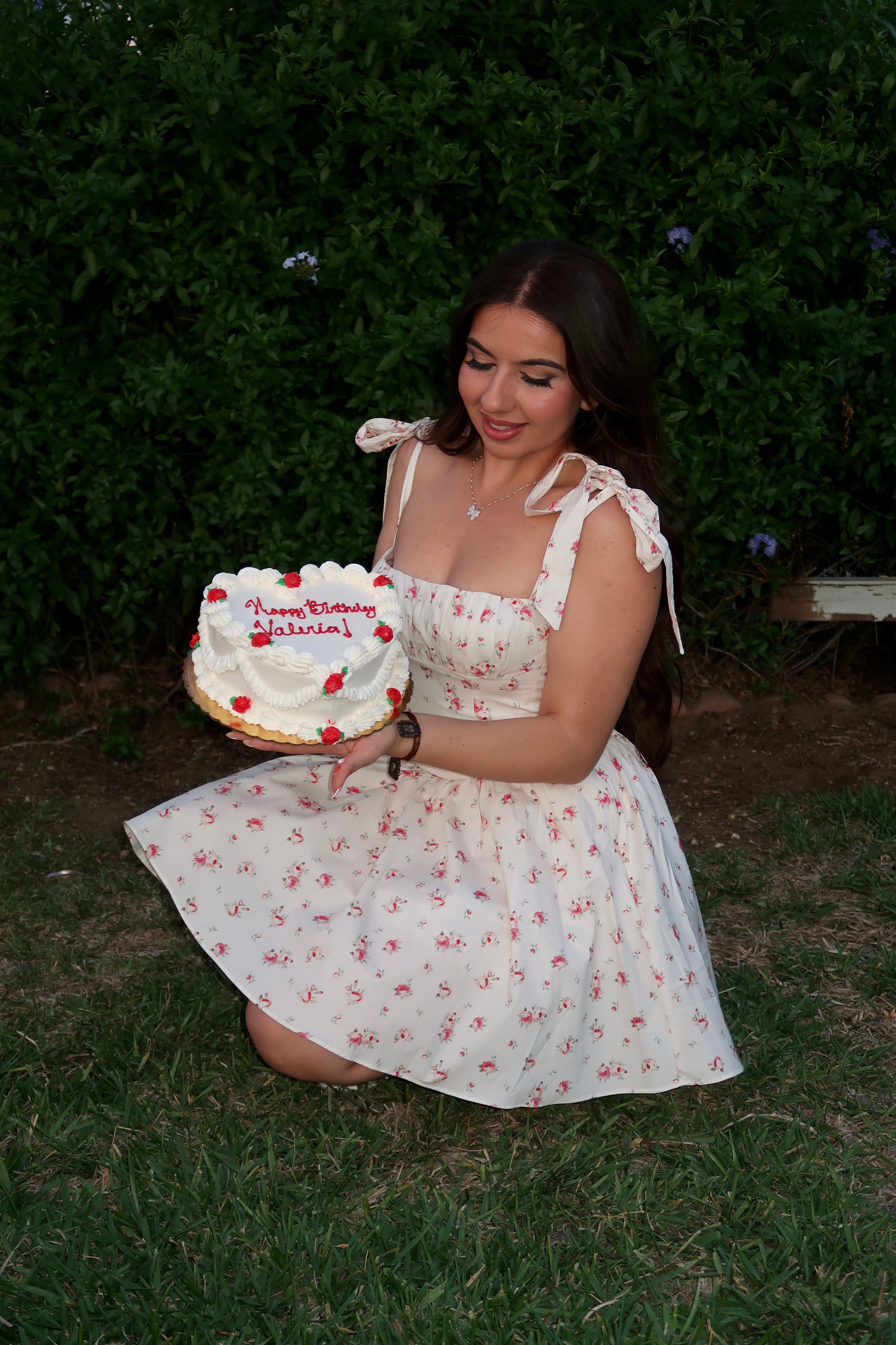 Strawberries N Cream Corset Mini Dress