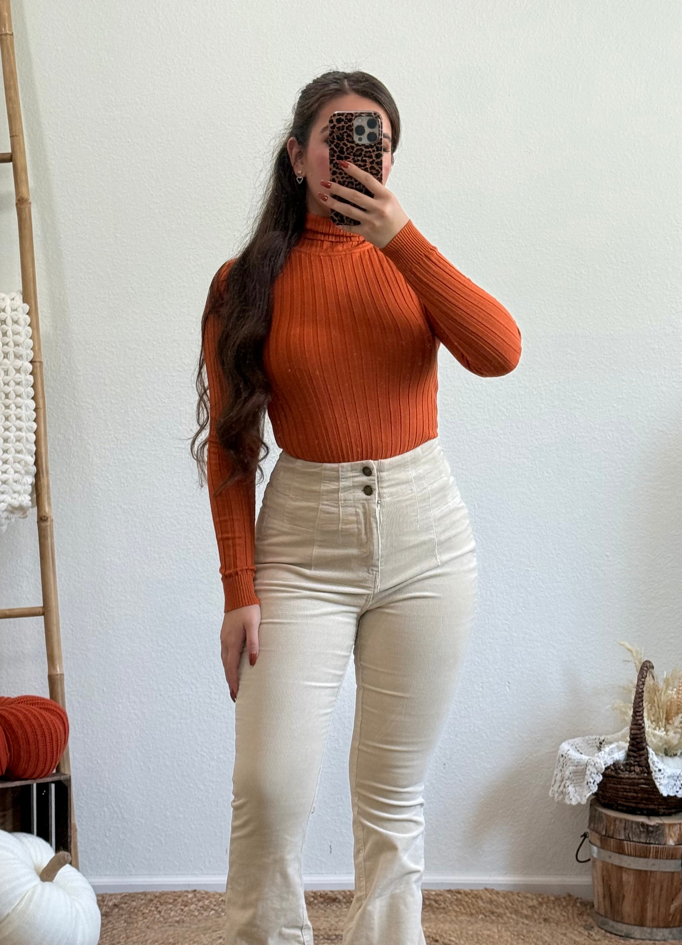 Ash Turtleneck Top