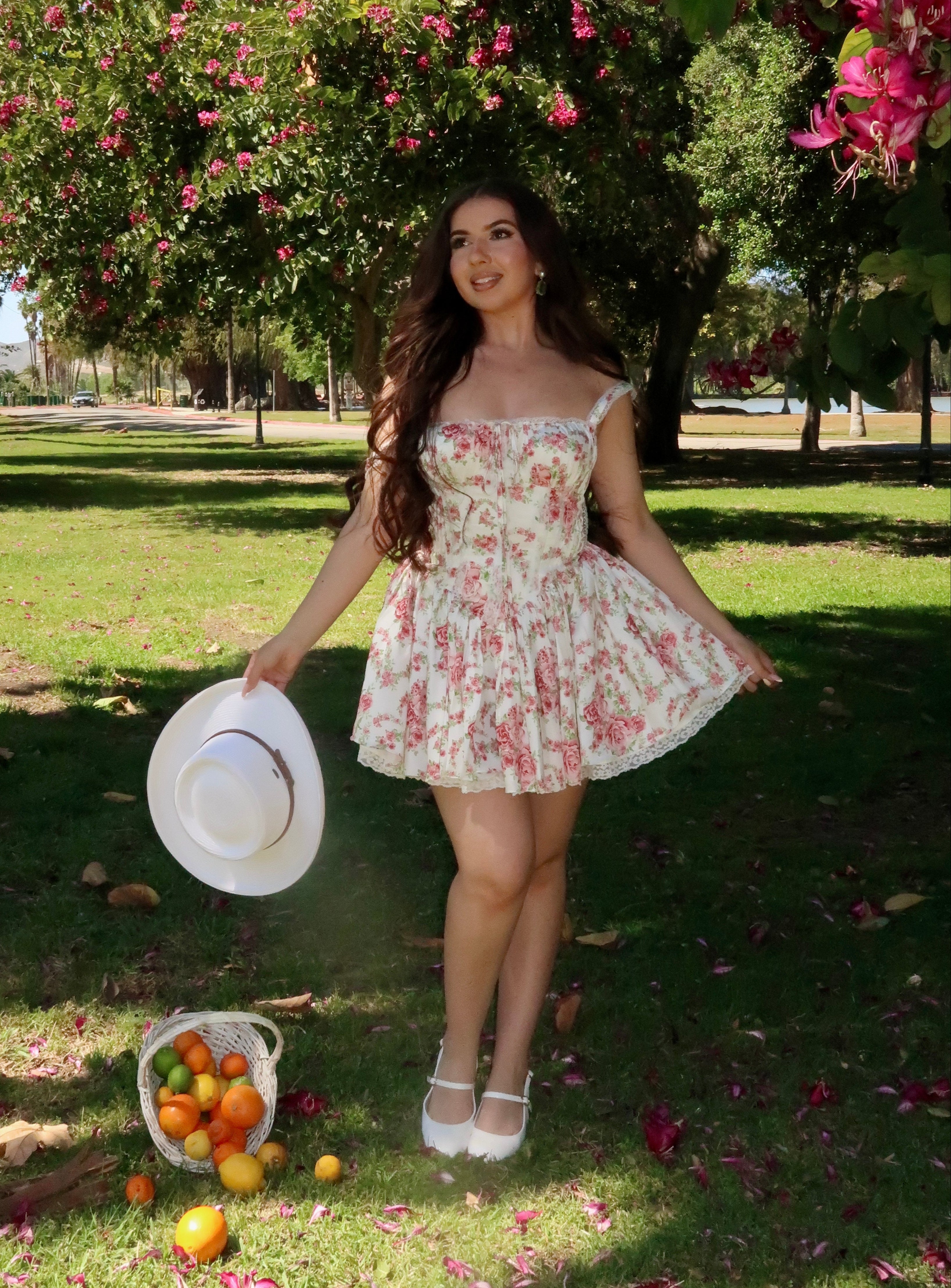 Diora Corset Mini Dress (Ivory/Pink Floral)