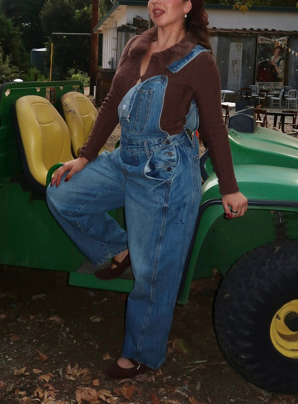Brian Denim Overalls