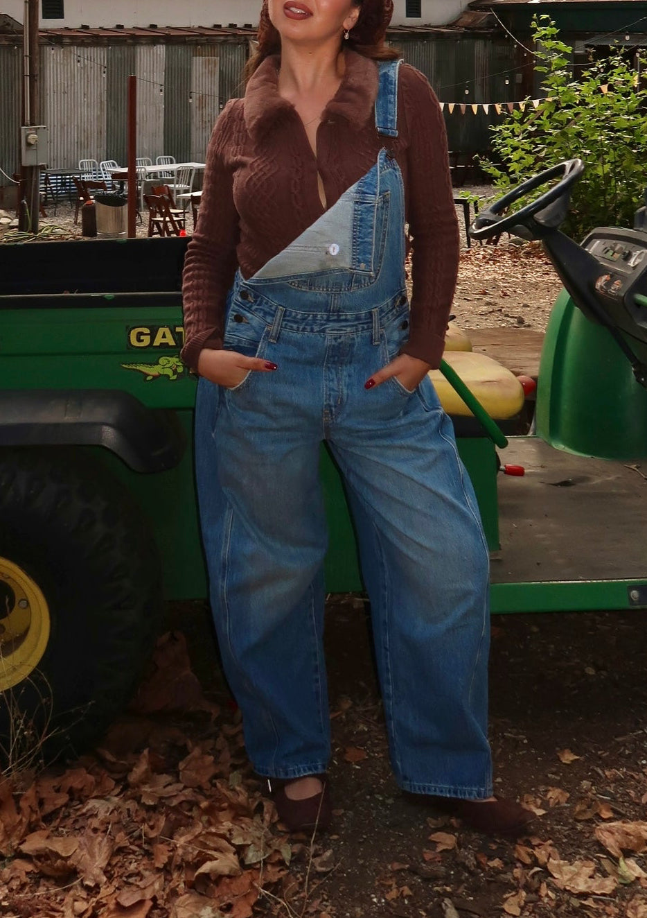 Brian Denim Overalls