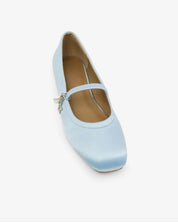 Once Upon a Ballet Flat