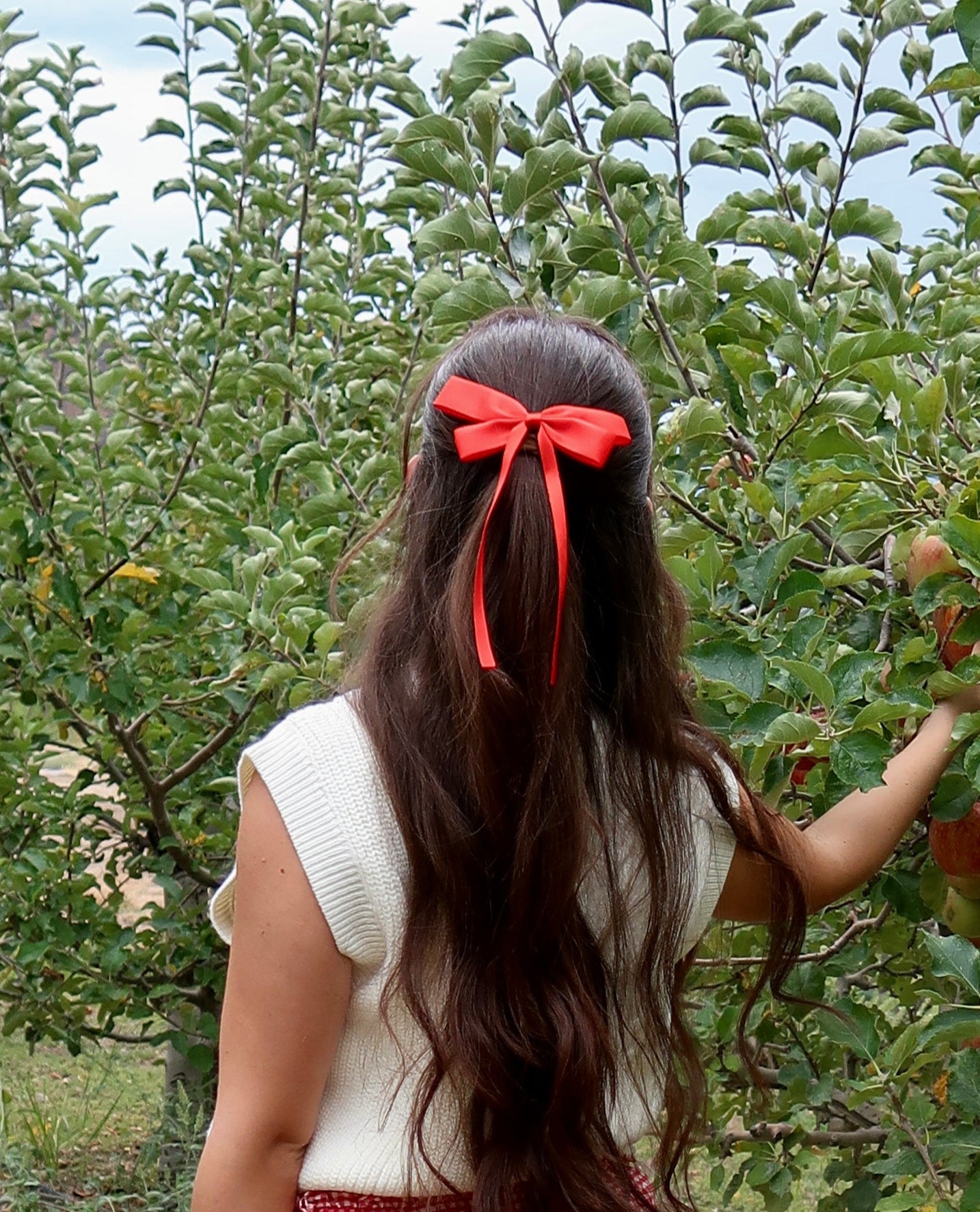 Daisy Bow (Red)