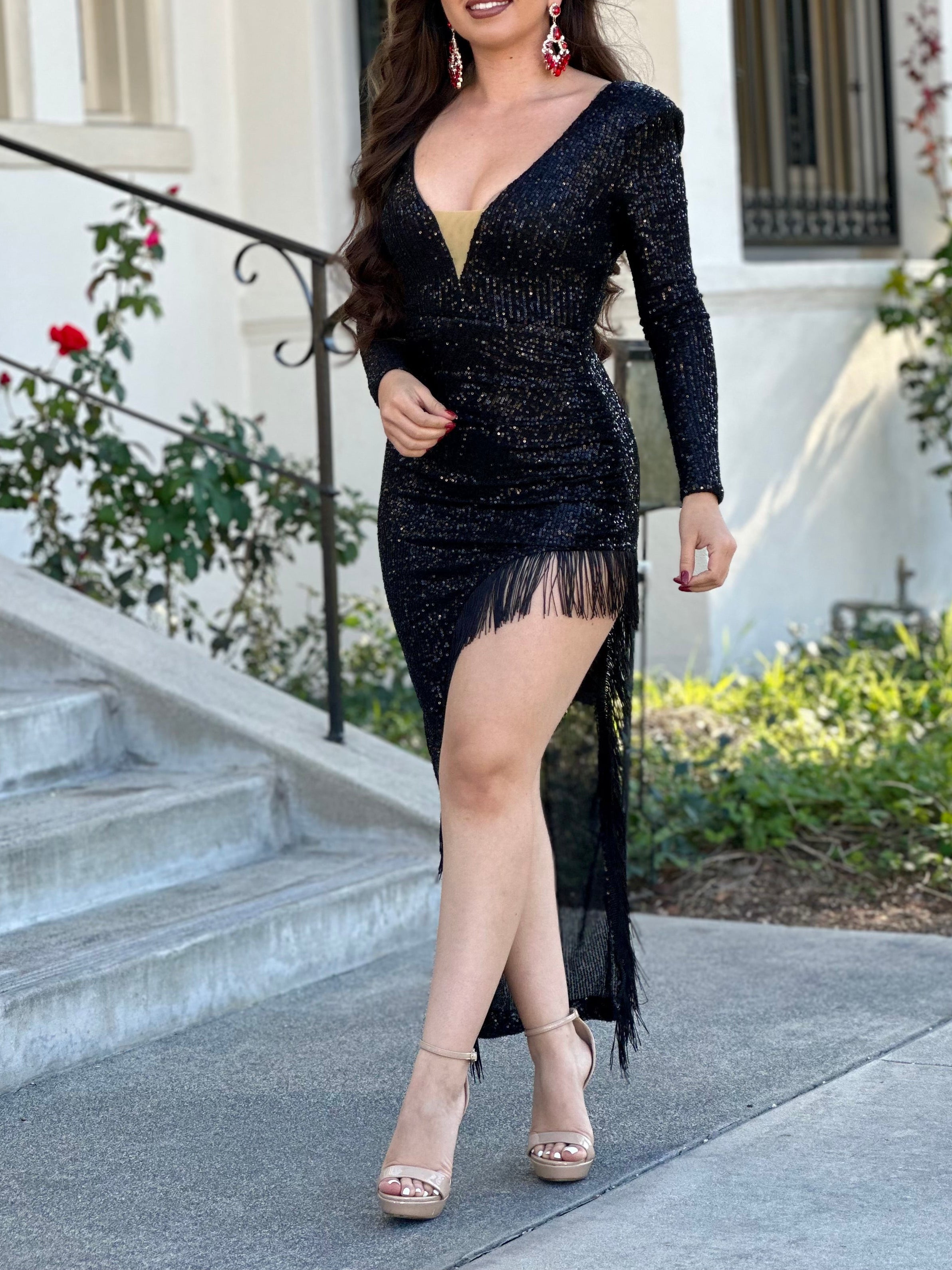 "Let's Celebrate" Sequin Fringe Dress (Black)