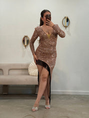 "Let's Celebrate" Sequin Fringe Dress (Rose Gold)