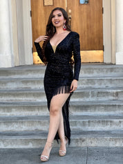 "Let's Celebrate" Sequin Fringe Dress (Black)