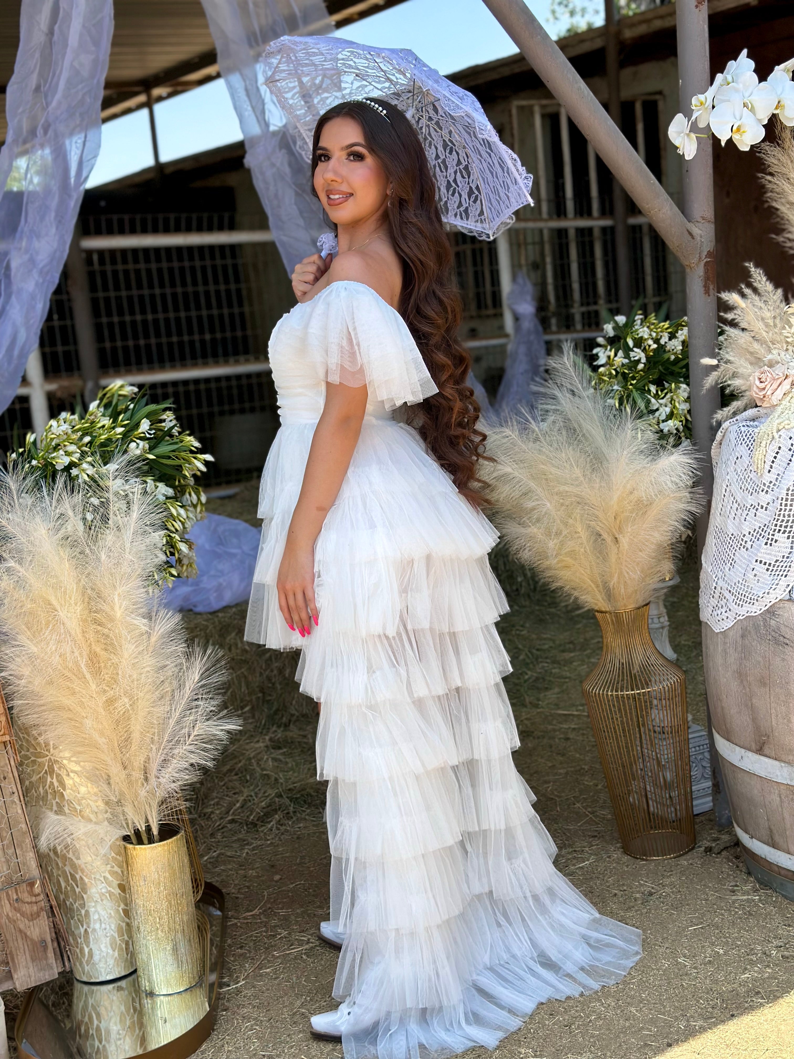 Fairytale Princess Tulle Dress (White) – Valeria'S Boutique