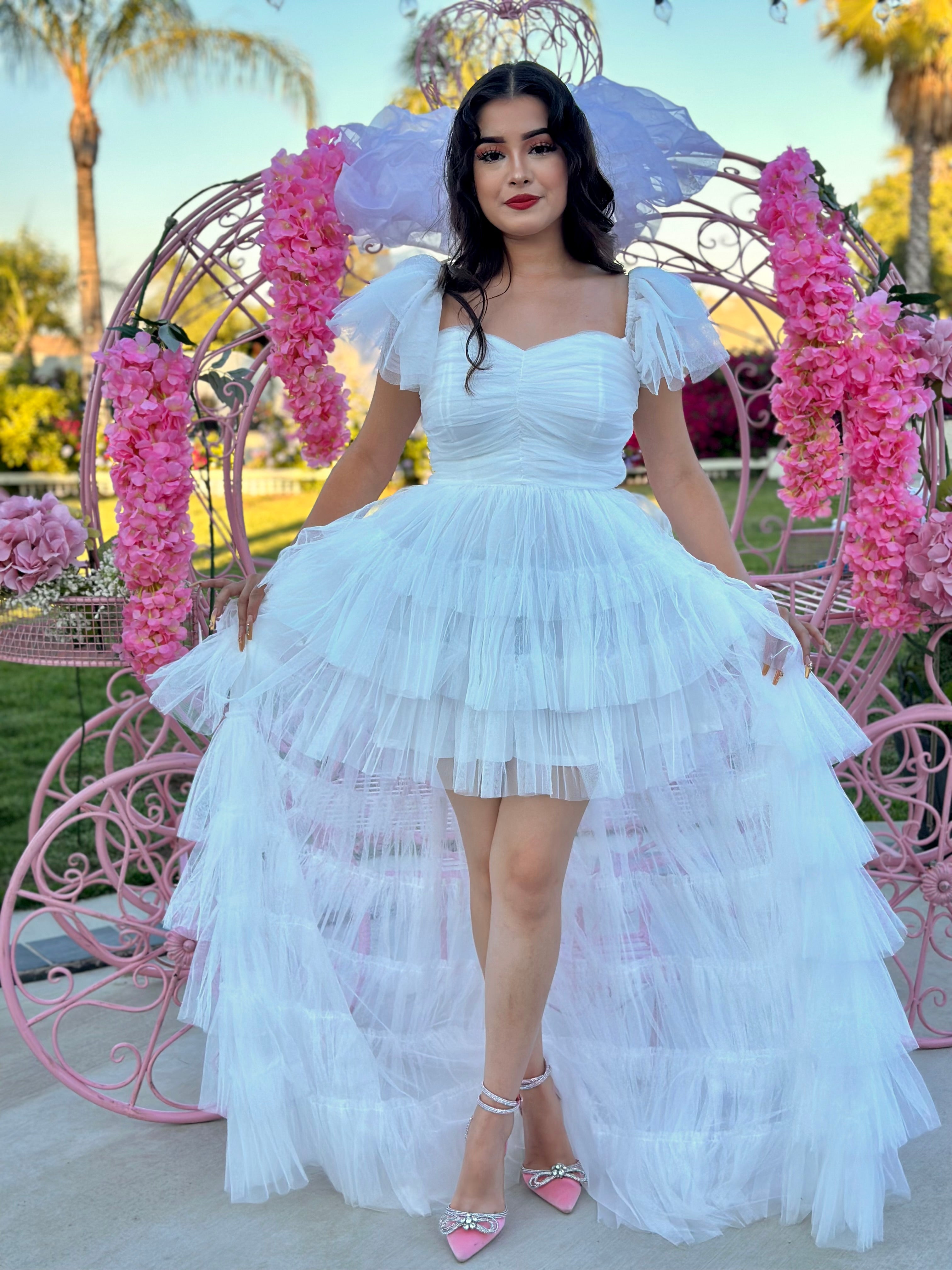 Fairytale Princess Tulle Dress (White) – Valeria'S Boutique