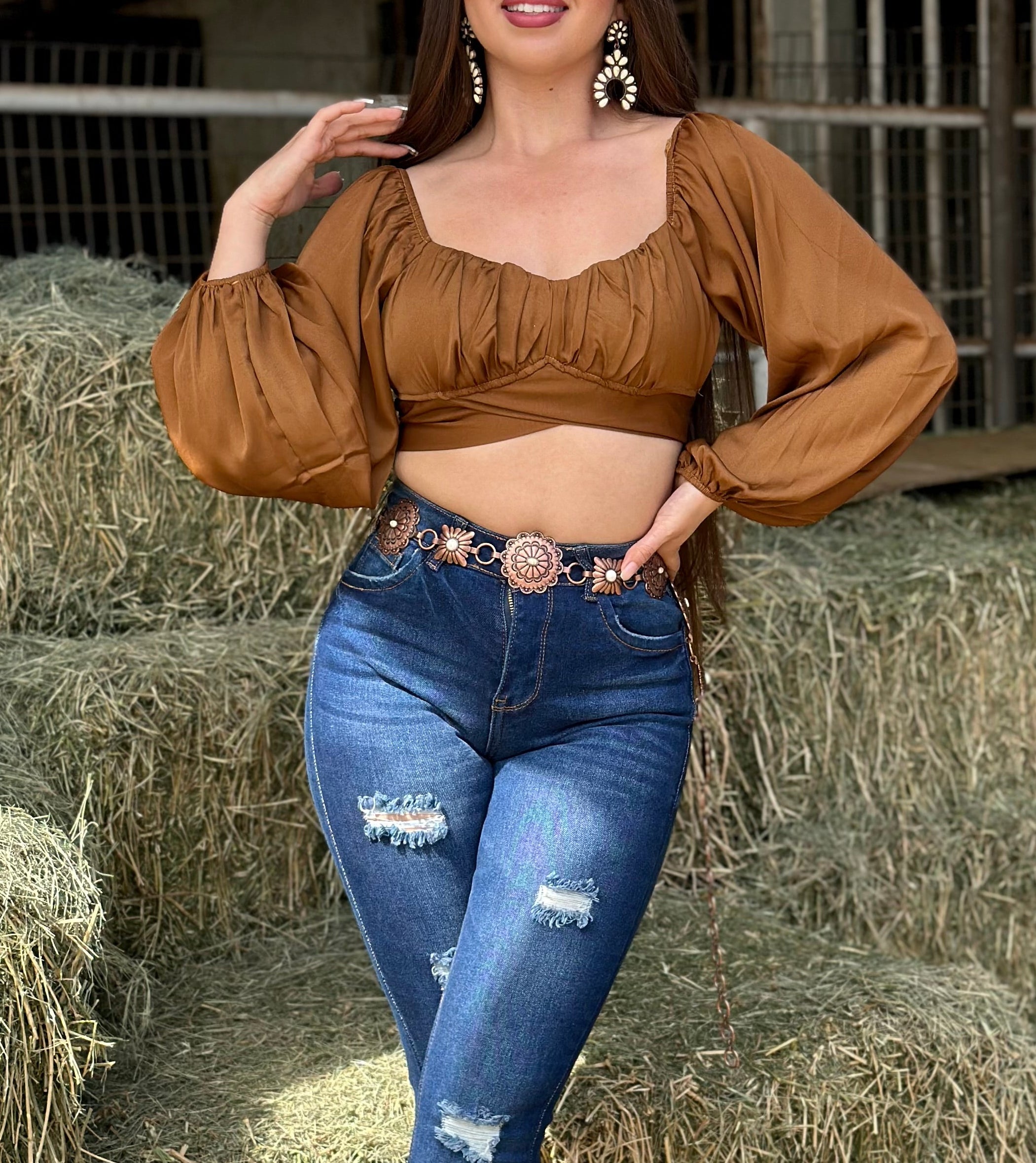 Glenda Long Sleeve Top (Brown)