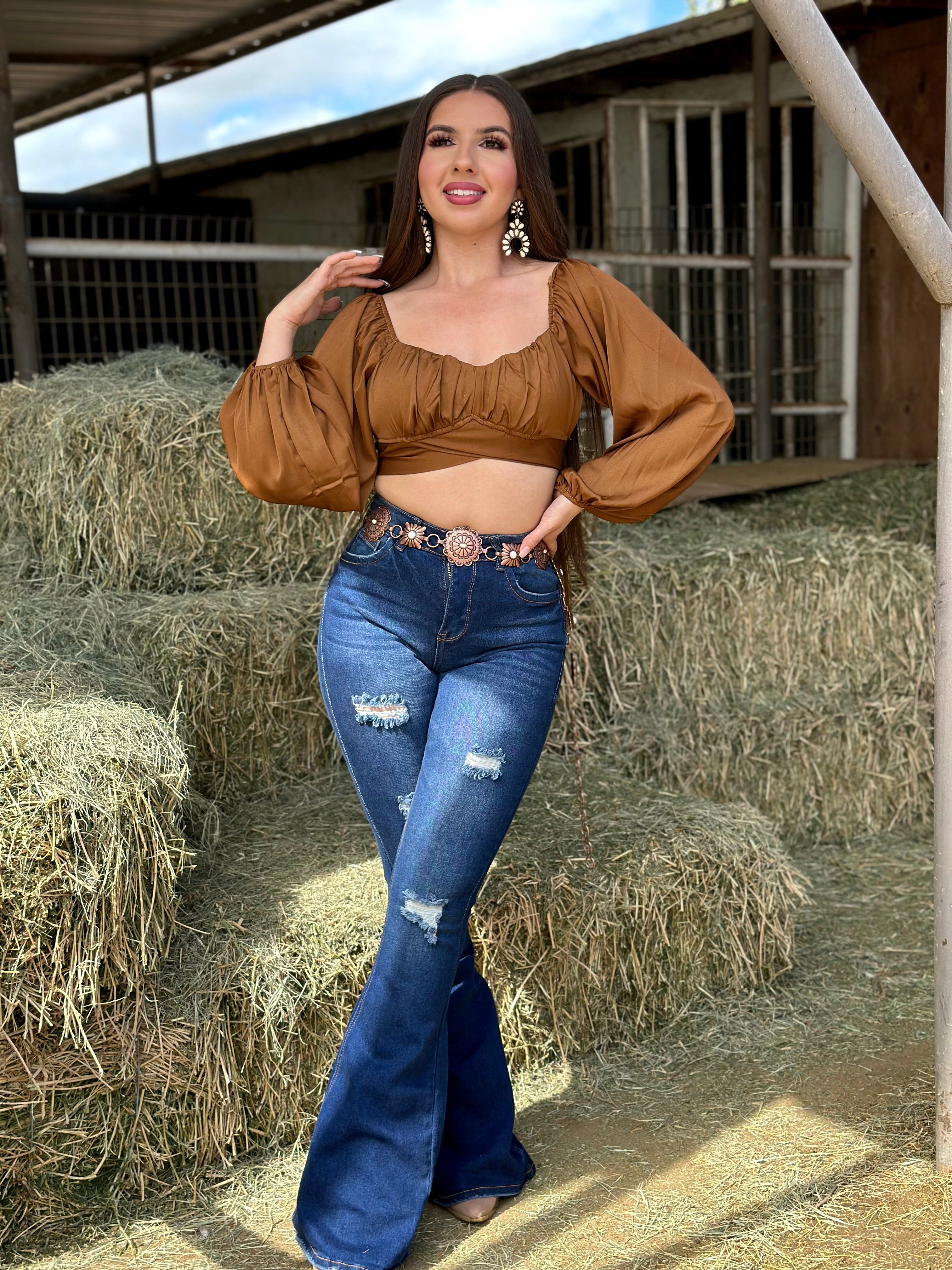 Glenda Long Sleeve Top (Brown)