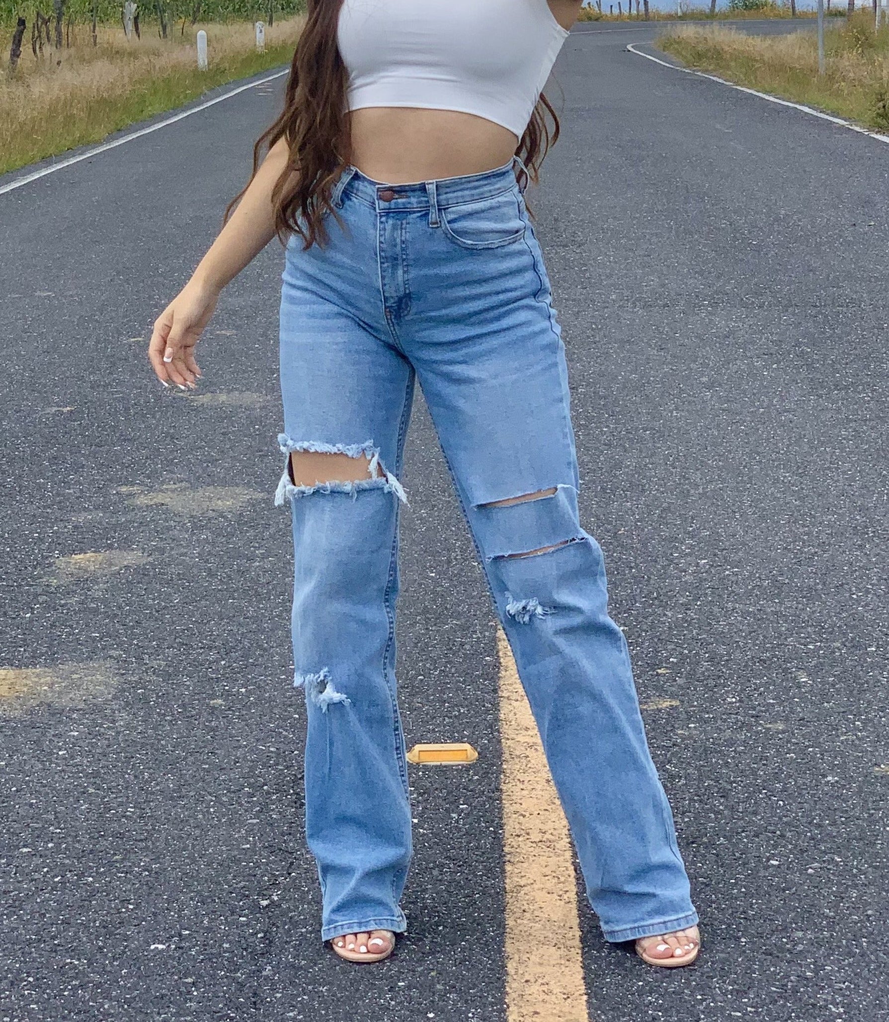 Dani High Rise Wide Leg Jeans