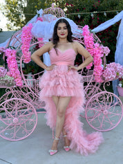 Once Upon A Time Tulle Dress (Sleeping Beauty Blush)