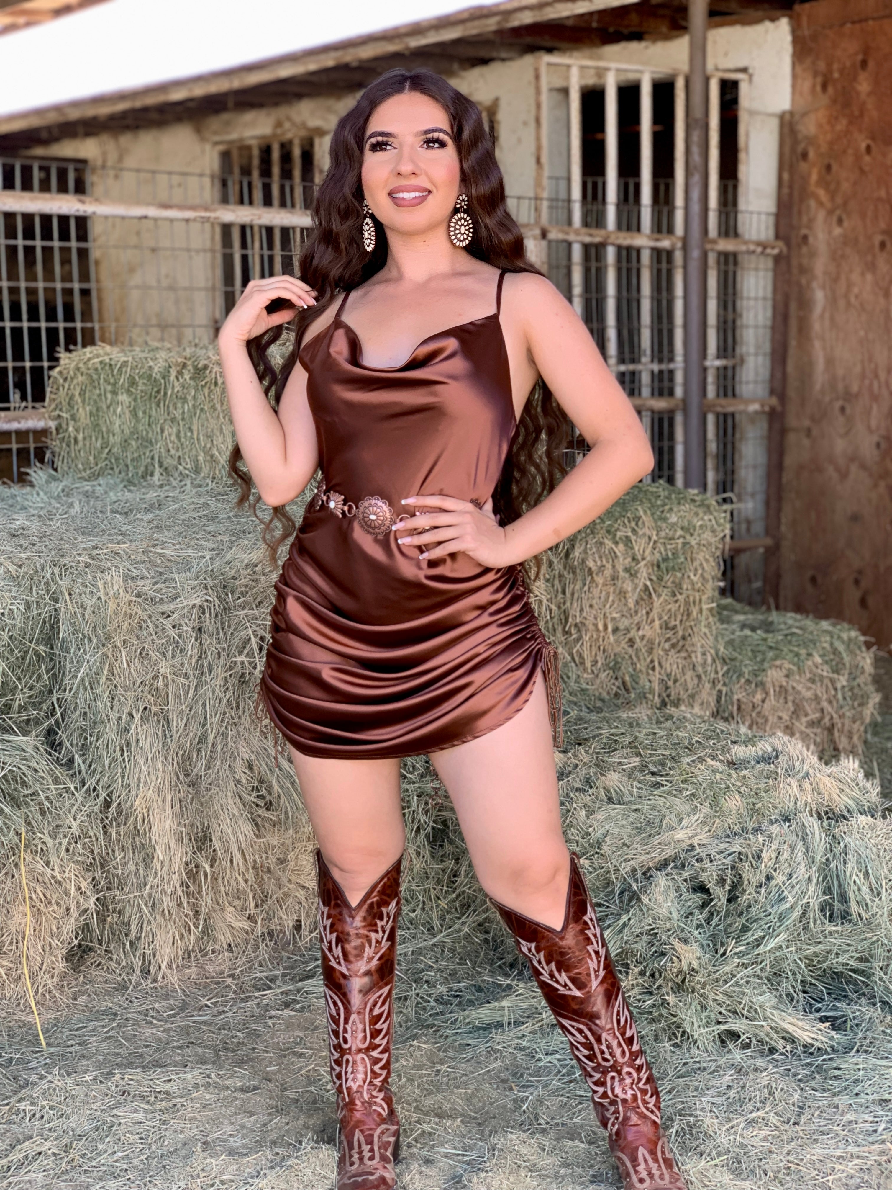 Jennifer Satin Ruched Dress (Bronze)