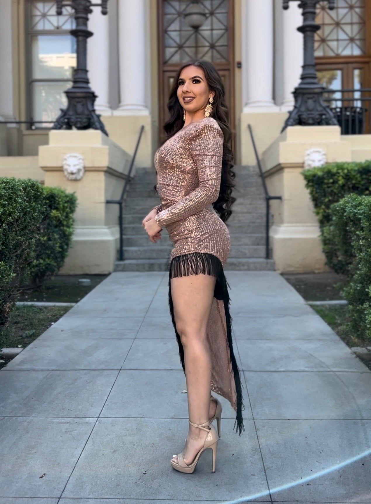"Let's Celebrate" Sequin Fringe Dress (Rose Gold)
