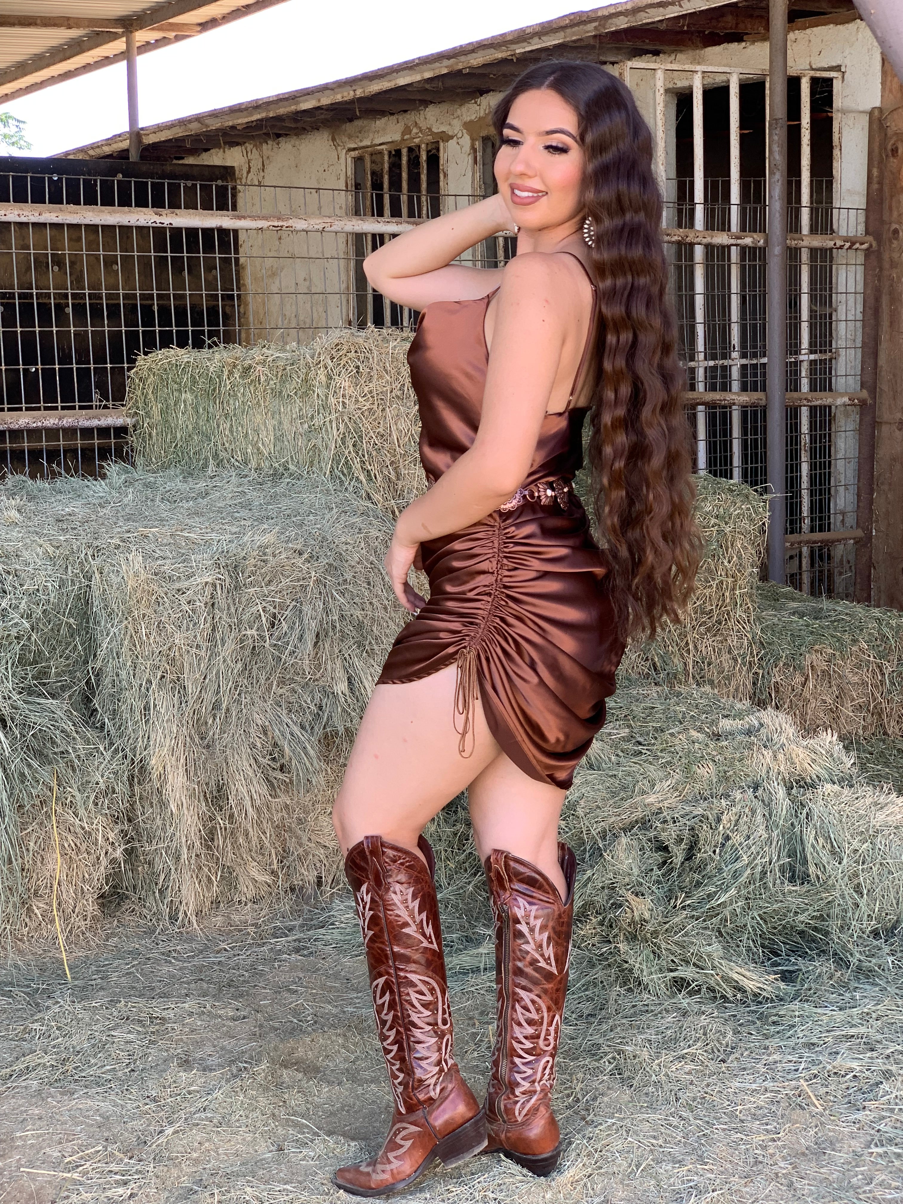 Jennifer Satin Ruched Dress (Bronze)