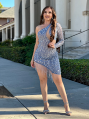 Winter Wonderland Embellished Mini Dress